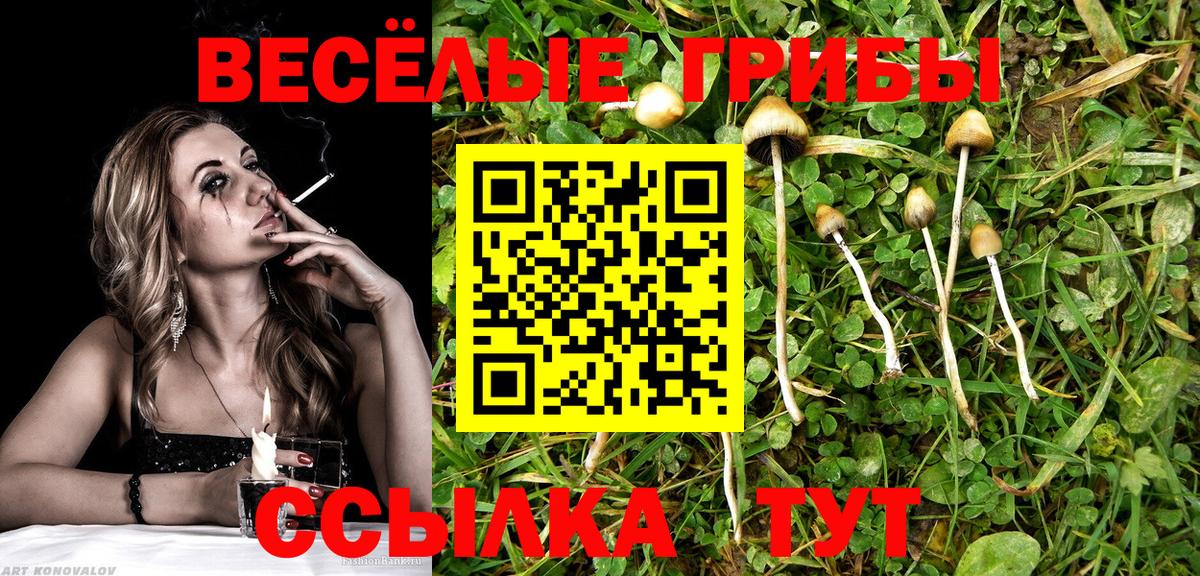 Вязьма  Галлюциногенные грибы ЛСД  Вход с VPN 