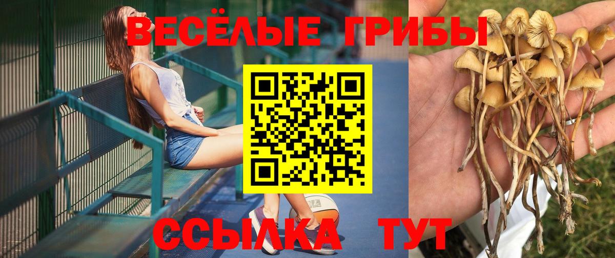 Псилоцибиновые грибы MAGIC MUSHROOMS Вязьма